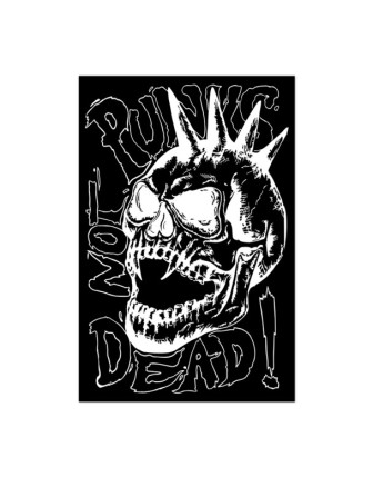 Punk Skull Poster color