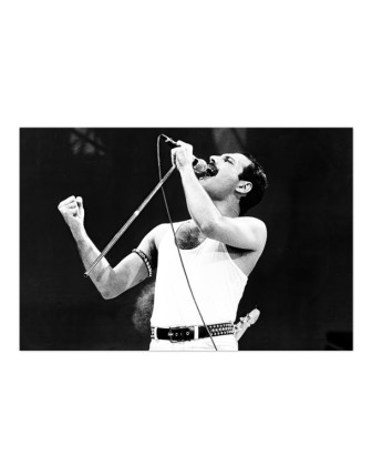 Queen Concert Black white Poster